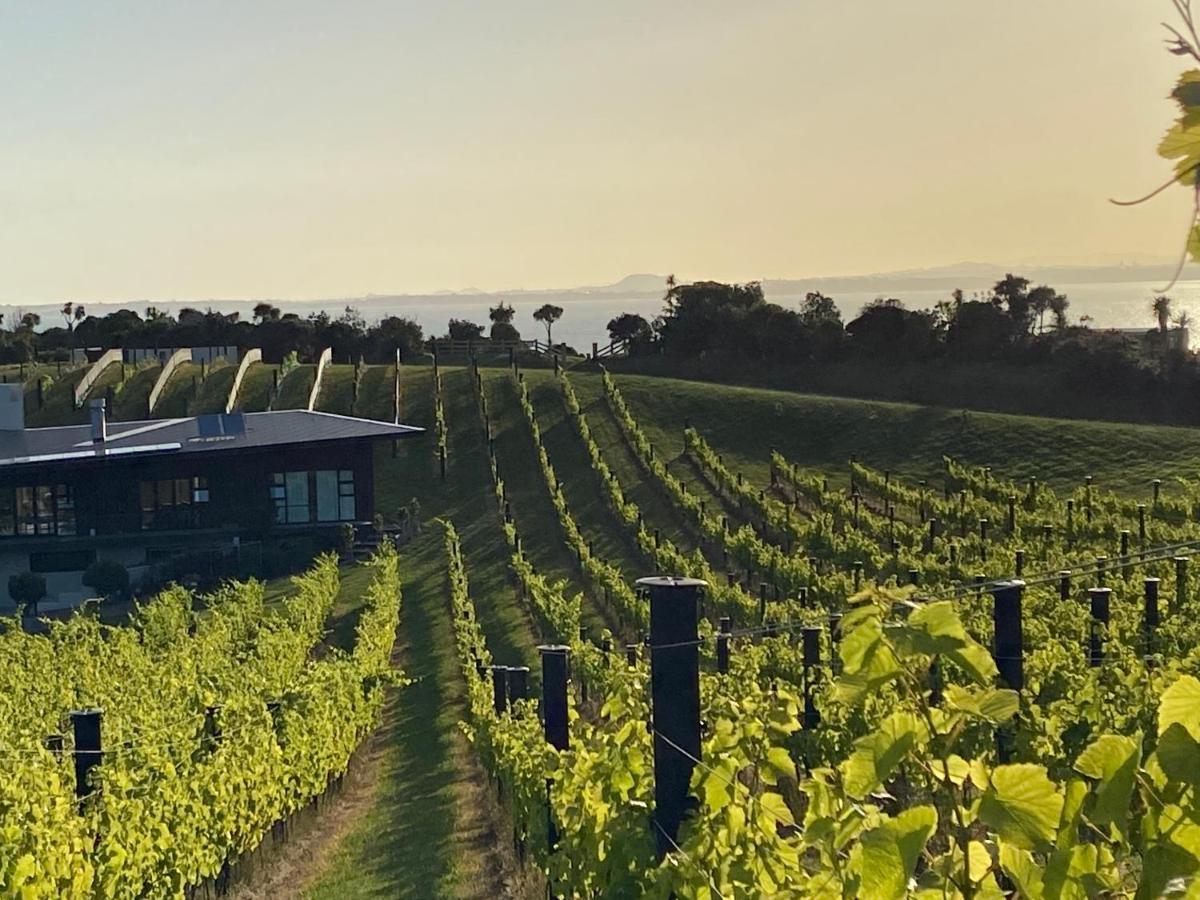 La Bodega Waiheke Island Otel Surfdale Dış mekan fotoğraf
