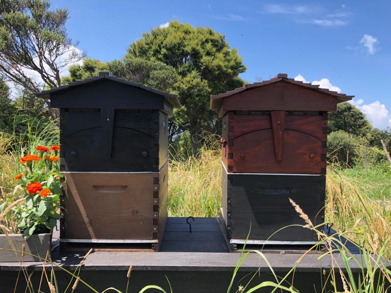 La Bodega Waiheke Island Otel Surfdale Dış mekan fotoğraf